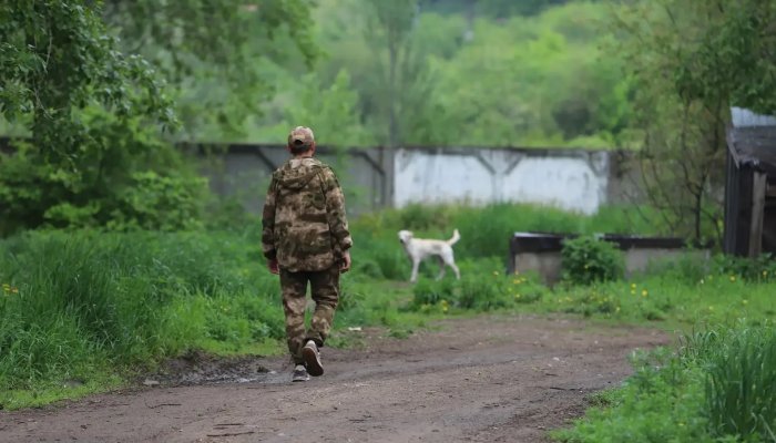 В Иркутске проводят рейды по отлову бездомных собак