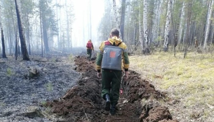 Шесть лесных пожаров потушили в Приангарье