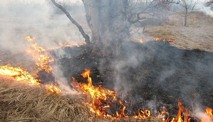 За сутки в Приангарье потушен один лесной пожар