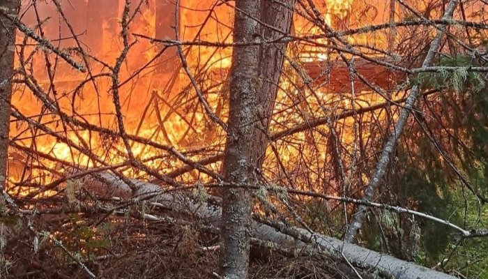 Четыре лесных пожара потушили за сутки в Приангарье