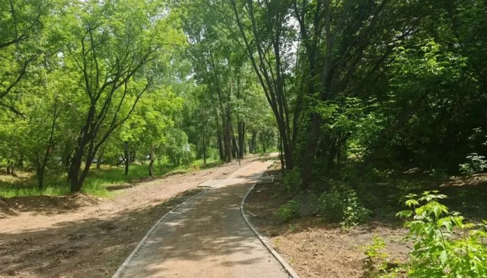 В Иркутске продолжается благоустройство экотропы «Птичья гавань»