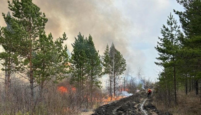 В Иркутской области продолжается ликвидация двух лесных пожаров