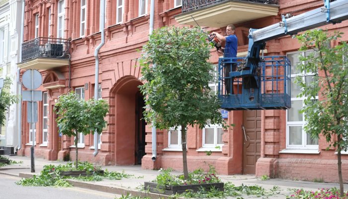 В Иркутске на улице Сухэ-Батора приступили к формовочной обрезке деревьев