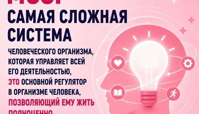В Иркутске проходит Неделя здоровья мозга