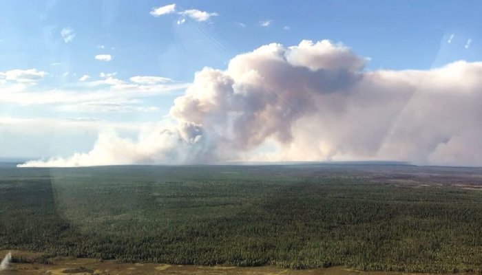 Один лесной пожар действует на территории Приангарья