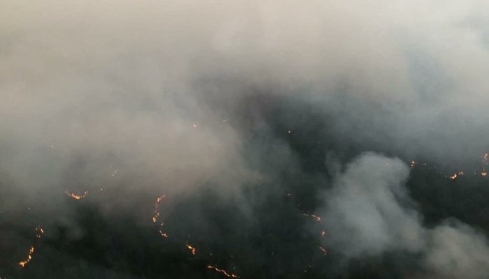 В Прианагрье продолжается ликвидация крупного лесного пожара в Катангском районе