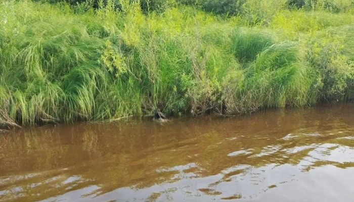 Пять человек погибли на водоемах Приангарья за сутки