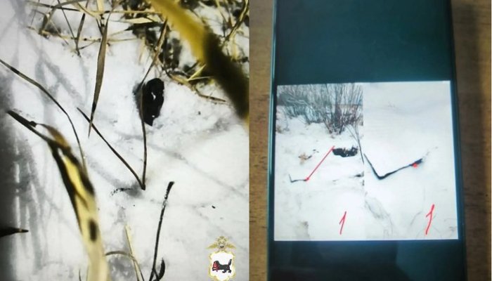Жительница Нижнеудинска осуждена на 12 лет за сбыт наркотиков