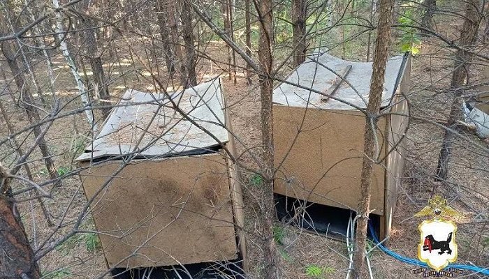В лесу под Иркутском нашли две нелегальные майнинговые фермы