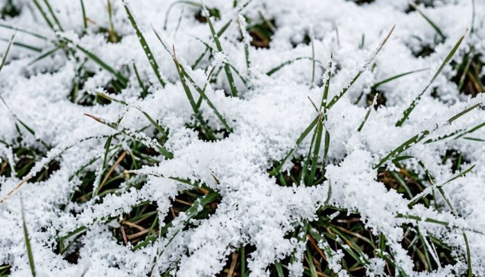 Снег может выпасть в Иркутской области уже в сентябре