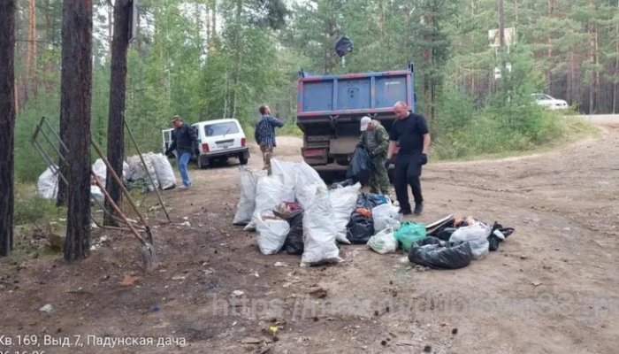 Мэр Братска предостерегает жителей от создания свалок в лесу из-за медведей