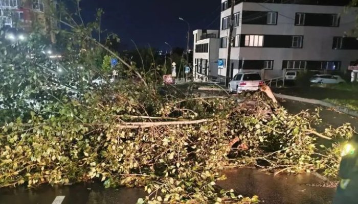 Из-за непогоды часть Иркутска осталась без электричества