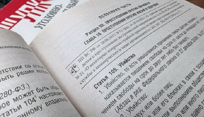 В Усть-Илимске 17-летний парень осуждён на 6,5 лет за убийство мужчины кирпичом