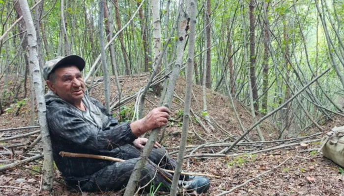 Спустя два дня в Тулуне нашли заблудившегося грибника