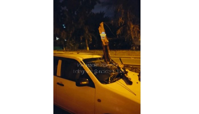 В Иркутске ветка тополя упала на припаркованный автомобиль