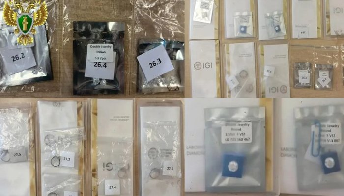 Иностранка получила приговор за попытку незаконно провезти драгоценности на сумму 6,5 миллиона рублей в Иркутске