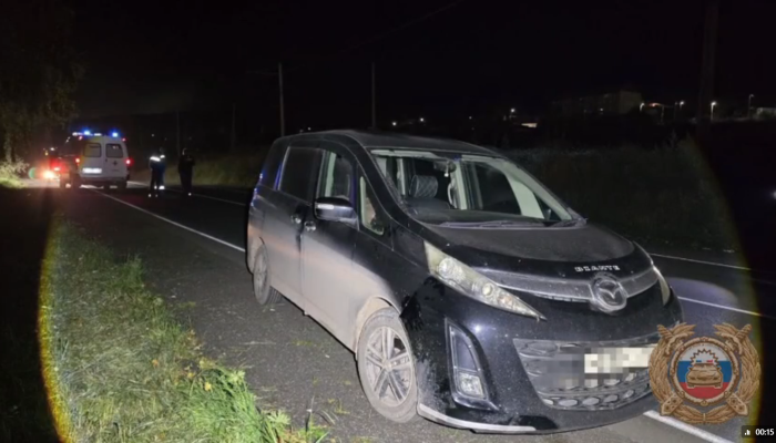 В Усть-Куте водитель иномарки насмерть сбил пешехода (Видео)