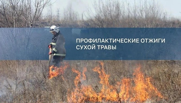 В Иркутске утвердили план осенних отжигов и покоса сухой травы