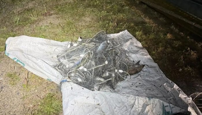 Житель Байкальска задержан за незаконный вылов омуля на сумму более 400 тысяч рублей