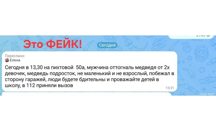 Мэр Братска пожаловался на фейки о медведях