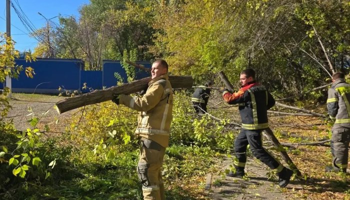 Субботник провели в иркутском Академгородке
