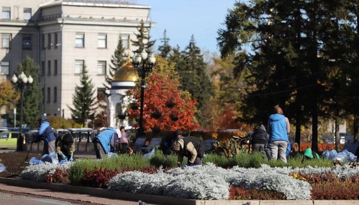 В Иркутске завершают уборку цветов с городских клумб