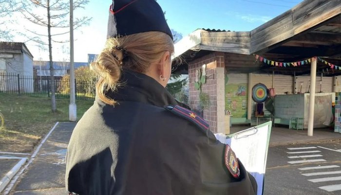 В Братске проверяют детсад после инцидента с ребёнком: женщина уронила малыша во время прогулки