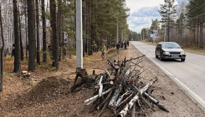 В Иркутской области на Байкальском тракте очистили лес от мусора и валежника для предотвращения пожаров