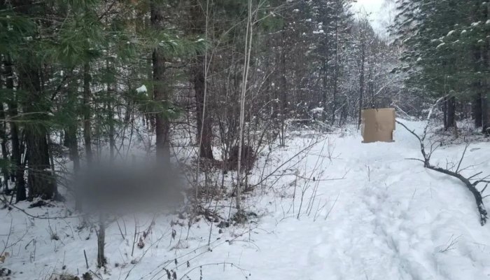 В Нижнеудинском районе охотник случайно застрелил мужчину