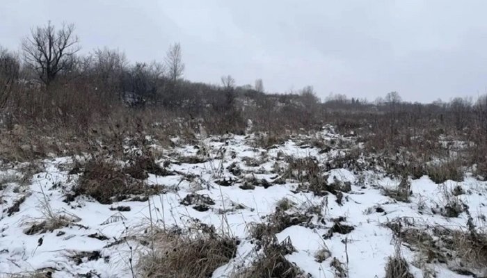Не дошла до дома: пропавшую в Ачинске студентку нашли замерзшей