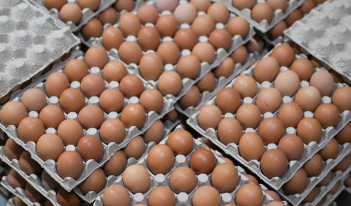 Еще несколько торговых сетей присоединились к меморандуму о неповышении цен на яйца