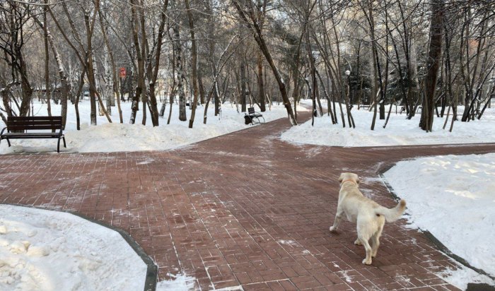 Более четырех тысяч тонн снега вывезли за выходные с улиц Иркутска