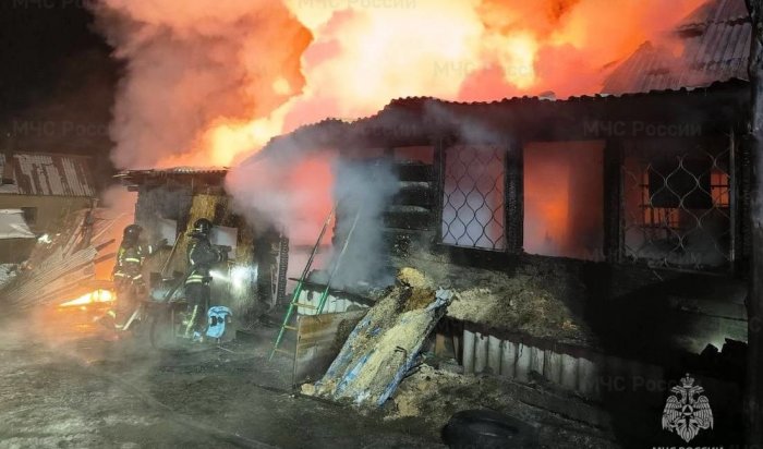 Прошлой ночью на пожарах в Иркутской области погибли три человека