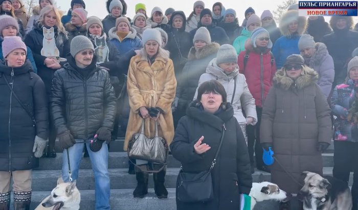 Иркутяне записали видеообращение к Путину и Кобзеву против убийства бездомных животных