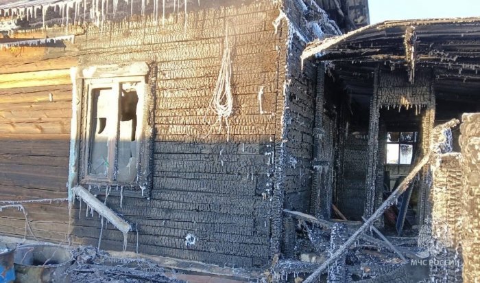В Усть-Ордынском кот спас хозяйку на пожаре