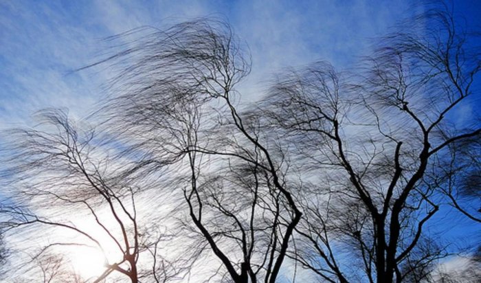 Штормовой ветер ожидается в Иркутской области 14 марта