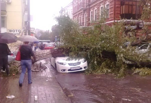 На Юге России пострадали 50 человек из-за сильного ветра с дождем