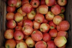 В Россию пытались ввезти 20 тонн польских яблок