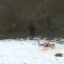 Пограничники задержали самку снежного человека