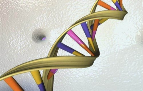 Ученые создали новый "атлас", позволяющий ориентироваться в человеческом геноме