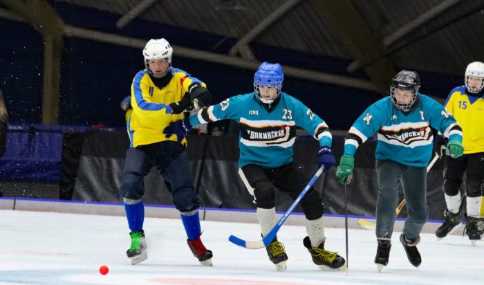 376 иркутян поучаствовали в соревнованиях по мини-хоккею с мячом на Кубок мэра