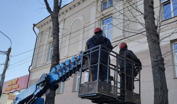 В Иркутске приступили к формовочной обрезке деревьев