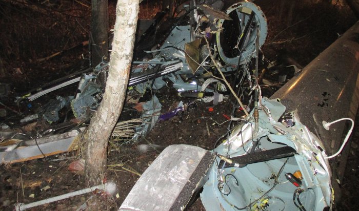 Пять человек погибли в результате авиакатастрофы в Нижегородской области