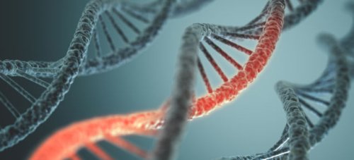 Биологи создали живые клетки с "чужой" ДНК, последовательность которой кодируется 6 символами