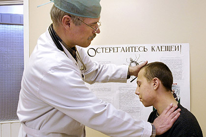 В России более 2,5 тысячи человек пострадали от укусов клещей