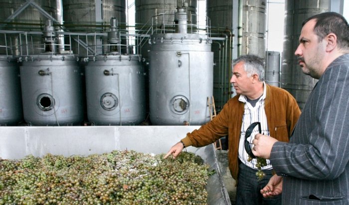 Грузия заявила о готовности увеличить экспорт сельскохозяйственной продукции в Росси