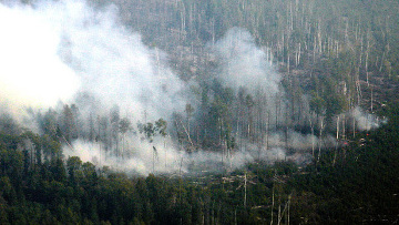 Лесные пожары в Забайкалье за сутки увеличили площадь огня до 8 тыс. га