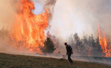 В Бурятии горит более 300 гектаров тайги