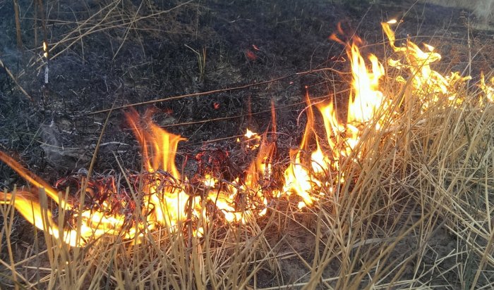 В Ленинском и Правобережном округах Иркутска пройдут отжиги сухой травы