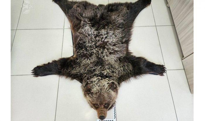 Ковер из медведя обнаружили у пассажирки авиарейса «Иркутск — Улан-Батор»